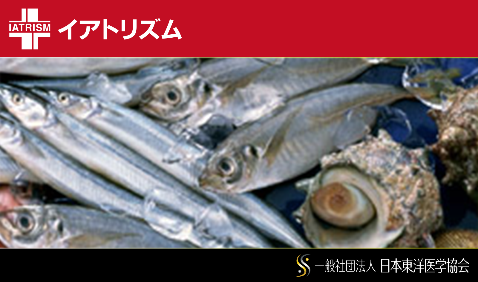イアトリズム事典 知っておきたい『食品と栄養』で食品成分表 魚介類 に登場する 魚や貝たち が集う風景