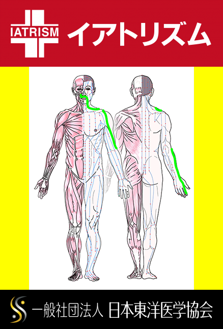 特定の臓腑と内属し表裏関係をも有する十二経脈の一つ手の『陽明大腸経』の流れが記された二体の人体立像図