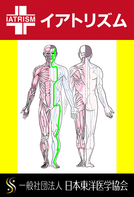 特定の臓腑と内属し表裏関係をも有する十二経脈の一つ足の『陽明胃経』の流れが記された二体の人体立像図