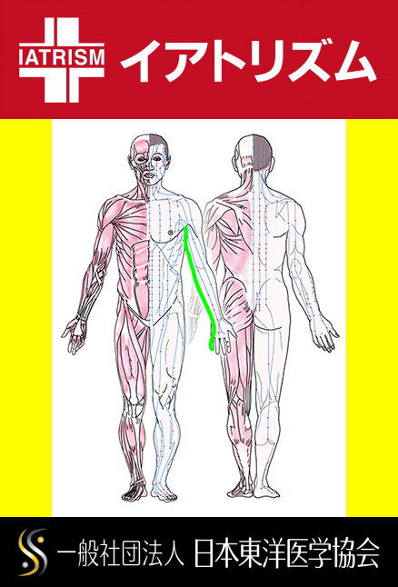 特定の臓腑と内属し表裏関係をも有する十二経脈の一つ手の『少陰心経』の流れが記された二体の人体立像図