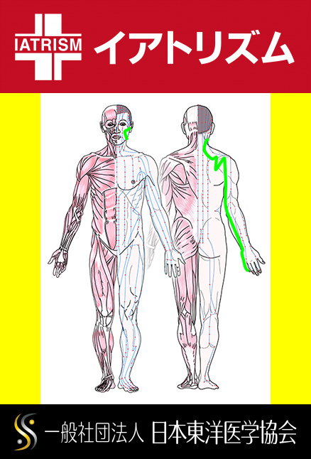特定の臓腑と内属し表裏関係をも有する十二経脈の一つ手の『太陽小腸経』の流れが記された二体の人体立像図