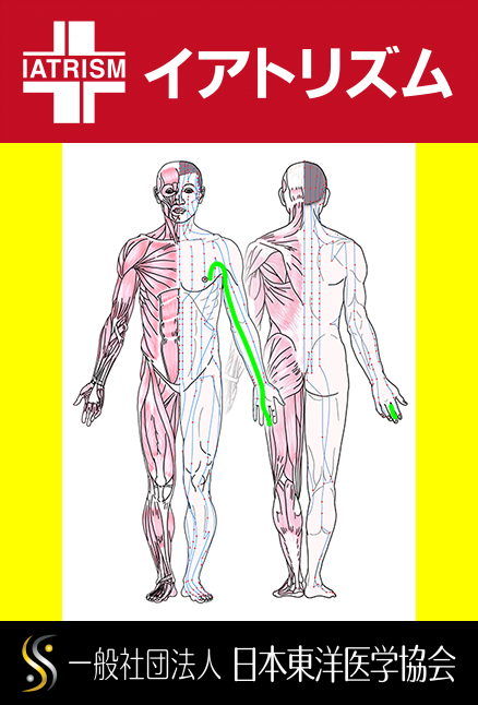 特定の臓腑と内属し表裏関係をも有する十二経脈の一つ手の『厥陰心包経』の流れが記された二体の人体立像図