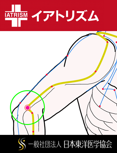特定の臓腑と内属し表裏関係をも有する十二経脈の一つ手の『陽明大腸経』に属する経穴「肘髎」のある風景