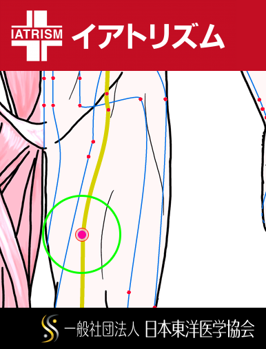 特定の臓腑と内属し表裏関係をも有する十二経脈の一つ足の『太陰脾経』に属する経穴「箕門」のある風景