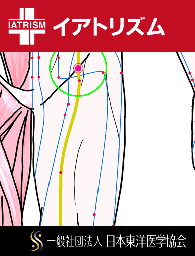 特定の臓腑と内属し表裏関係をも有する十二経脈の一つ足の『太陰脾経』に属する経穴「府舎」のある風景