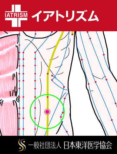 特定の臓腑と内属し表裏関係をも有する十二経脈の一つ足の『太陰脾経』に属する経穴「腹結」のある風景