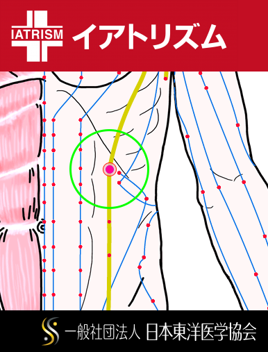 特定の臓腑と内属し表裏関係をも有する十二経脈の一つ足の『太陰脾経』に属する経穴「腹哀」のある風景