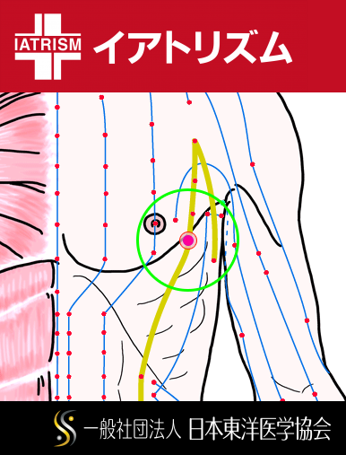 特定の臓腑と内属し表裏関係をも有する十二経脈の一つ足の『太陰脾経』に属する経穴「食竇」のある風景