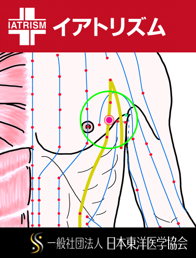 特定の臓腑と内属し表裏関係をも有する十二経脈の一つ足の『太陰脾経』に属する経穴「天谿」のある風景