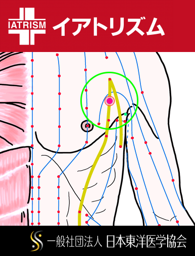 特定の臓腑と内属し表裏関係をも有する十二経脈の一つ足の『太陰脾経』に属する経穴「胸郷」のある風景