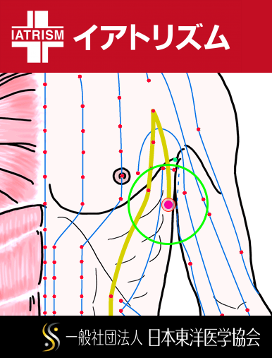 特定の臓腑と内属し表裏関係をも有する十二経脈の一つ足の『太陰脾経』に属する経穴「大包」のある風景