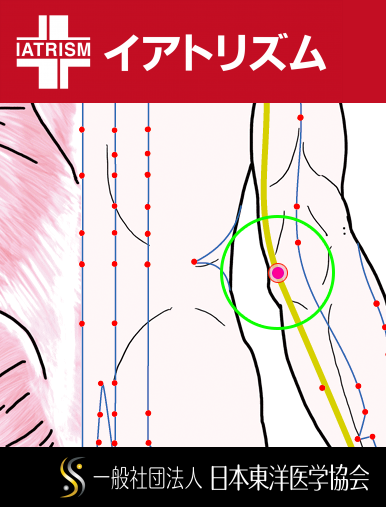 特定の臓腑と内属し表裏関係をも有する十二経脈の一つ手の『太陽小腸経』に属する経穴「小海」のある風景