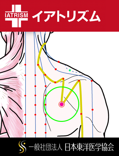 特定の臓腑と内属し表裏関係をも有する十二経脈の一つ手の『太陽小腸経』に属する経穴「天宗」のある風景