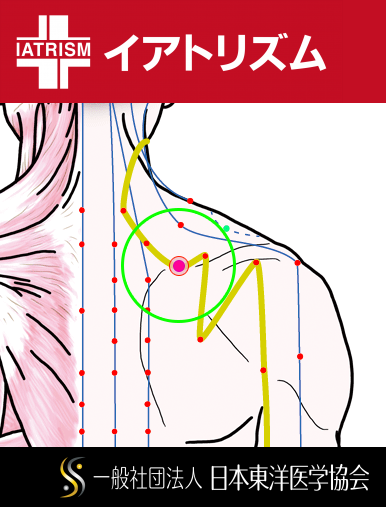 特定の臓腑と内属し表裏関係をも有する十二経脈の一つ手の『太陽小腸経』に属する経穴「曲垣」のある風景
