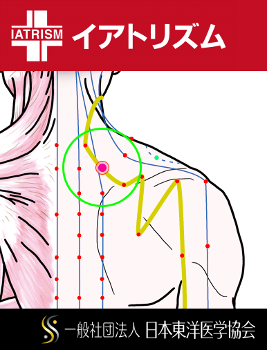 特定の臓腑と内属し表裏関係をも有する十二経脈の一つ手の『太陽小腸経』に属する経穴「肩外兪」のある風景