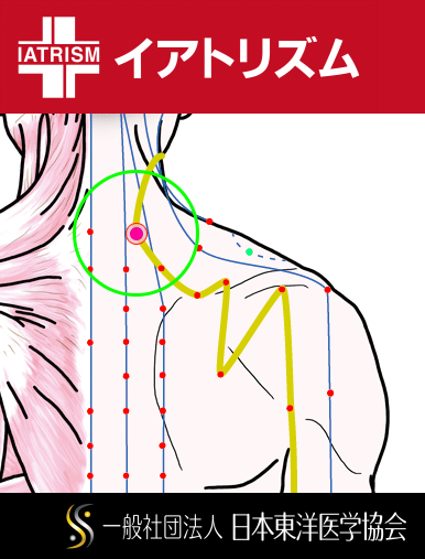 特定の臓腑と内属し表裏関係をも有する十二経脈の一つ手の『太陽小腸経』に属する経穴「肩中兪」のある風景