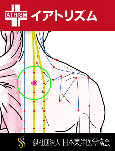 特定の臓腑と内属し表裏関係をも有する十二経脈の一つ足の『太陽膀胱経』に属する経穴「風門」のある風景