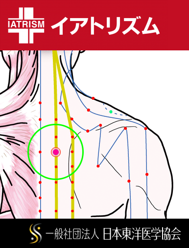 特定の臓腑と内属し表裏関係をも有する十二経脈の一つ足の『太陽膀胱経』に属する経穴「肺兪」のある風景