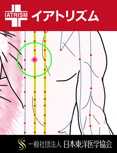 特定の臓腑と内属し表裏関係をも有する十二経脈の一つ足の『太陽膀胱経』に属する経穴「心兪」のある風景