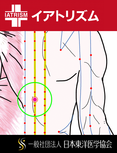 特定の臓腑と内属し表裏関係をも有する十二経脈の一つ足の『太陽膀胱経』に属する経穴「胆兪」のある風景