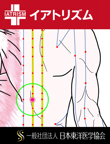 特定の臓腑と内属し表裏関係をも有する十二経脈の一つ足の『太陽膀胱経』に属する経穴「脾兪」のある風景