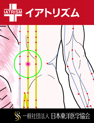 特定の臓腑と内属し表裏関係をも有する十二経脈の一つ足の『太陽膀胱経』に属する経穴「腎兪」のある風景