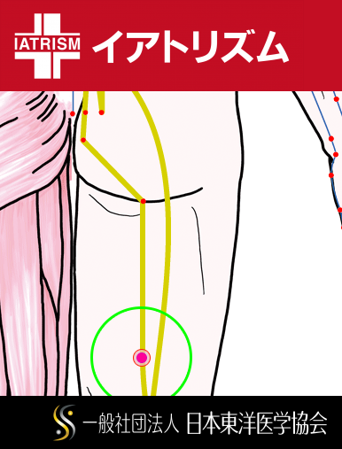 特定の臓腑と内属し表裏関係をも有する十二経脈の一つ足の『太陽膀胱経』に属する経穴「殷門」のある風景