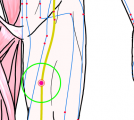 特定の臓腑と内属し表裏関係をも有する十二経脈の一つ足の『太陰脾経』に属する経穴「箕門」のある風景