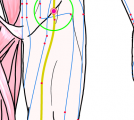 特定の臓腑と内属し表裏関係をも有する十二経脈の一つ足の『太陰脾経』に属する経穴「府舎」のある風景