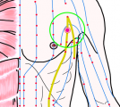 特定の臓腑と内属し表裏関係をも有する十二経脈の一つ足の『太陰脾経』に属する経穴「胸郷」のある風景