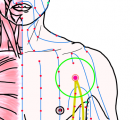 特定の臓腑と内属し表裏関係をも有する十二経脈の一つ足の『太陰脾経』に属する経穴「周栄」のある風景