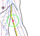 特定の臓腑と内属し表裏関係をも有する十二経脈の一つ手の『少陰心経』に属する経穴「青霊」のある風景