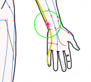 特定の臓腑と内属し表裏関係をも有する十二経脈の一つ手の『少陰心経』に属する経穴「通里」のある風景