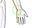 特定の臓腑と内属し表裏関係をも有する十二経脈の一つ手の『少陰心経』に属する経穴「神門」のある風景