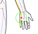 特定の臓腑と内属し表裏関係をも有する十二経脈の一つ手の『少陰心経』に属する経穴「少府」のある風景