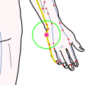 特定の臓腑と内属し表裏関係をも有する十二経脈の一つ手の『太陽小腸経』に属する経穴「腕骨」のある風景
