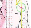 特定の臓腑と内属し表裏関係をも有する十二経脈の一つ手の『太陽小腸経』に属する経穴「肩貞」のある風景