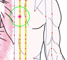 特定の臓腑と内属し表裏関係をも有する十二経脈の一つ足の『太陽膀胱経』に属する経穴「心兪」のある風景