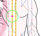 特定の臓腑と内属し表裏関係をも有する十二経脈の一つ足の『太陽膀胱経』に属する経穴「膈兪」のある風景