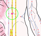特定の臓腑と内属し表裏関係をも有する十二経脈の一つ足の『太陽膀胱経』に属する経穴「三焦兪」のある風景