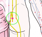 特定の臓腑と内属し表裏関係をも有する十二経脈の一つ足の『太陽膀胱経』に属する経穴「中膂兪」のある風景