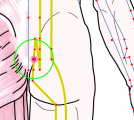 特定の臓腑と内属し表裏関係をも有する十二経脈の一つ足の『太陽膀胱経』に属する経穴「中髎」のある風景