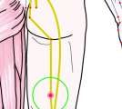 特定の臓腑と内属し表裏関係をも有する十二経脈の一つ足の『太陽膀胱経』に属する経穴「殷門」のある風景