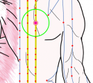 特定の臓腑と内属し表裏関係をも有する十二経脈の一つ足の『太陽膀胱経』に属する経穴「神堂」のある風景