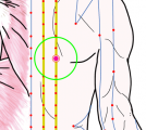 特定の臓腑と内属し表裏関係をも有する十二経脈の一つ足の『太陽膀胱経』に属する経穴「膈関」のある風景