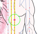 特定の臓腑と内属し表裏関係をも有する十二経脈の一つ足の『太陽膀胱経』に属する経穴「魂門」のある風景