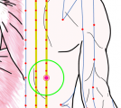 特定の臓腑と内属し表裏関係をも有する十二経脈の一つ足の『太陽膀胱経』に属する経穴「意舎」のある風景