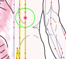 特定の臓腑と内属し表裏関係をも有する十二経脈の一つ足の『太陽膀胱経』に属する経穴「胃倉」のある風景