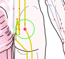 特定の臓腑と内属し表裏関係をも有する十二経脈の一つ足の『太陽膀胱経』に属する経穴「秩辺」のある風景