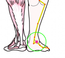 特定の臓腑と内属し表裏関係をも有する十二経脈の一つ足の『太陽膀胱経』に属する経穴「申脈」のある風景